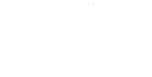 logo ffe